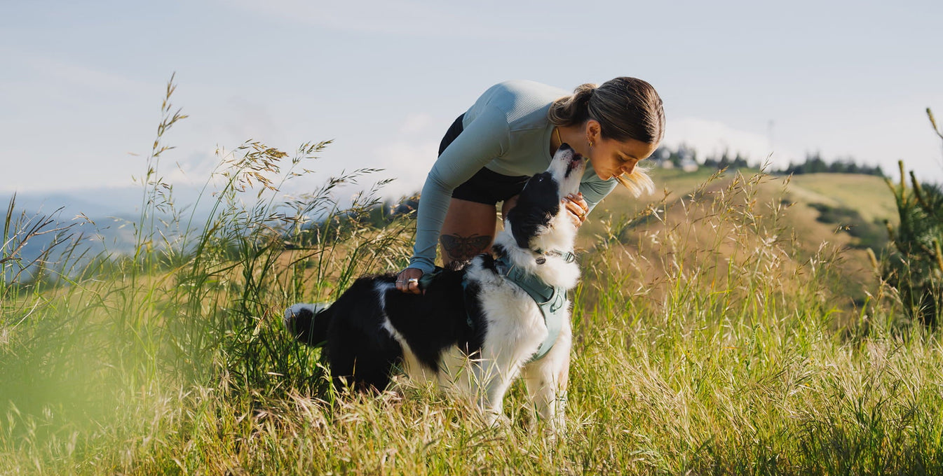 A woman kisses the nose of  dog