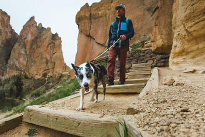 A man walks on a hiking trail with his dog. 