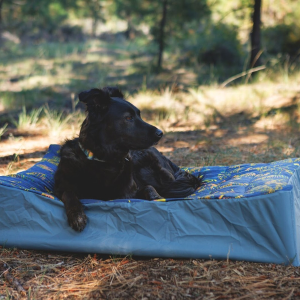 Dog resting on the Mt. EverRest™ Dog Cot and Cover.