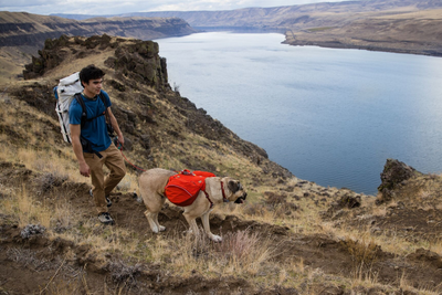 Man with his dog wearing the Palisades™ Pack.