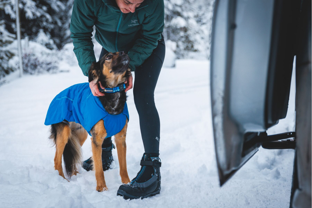 Stories Explored A Ruffwear Blog Ruffwear