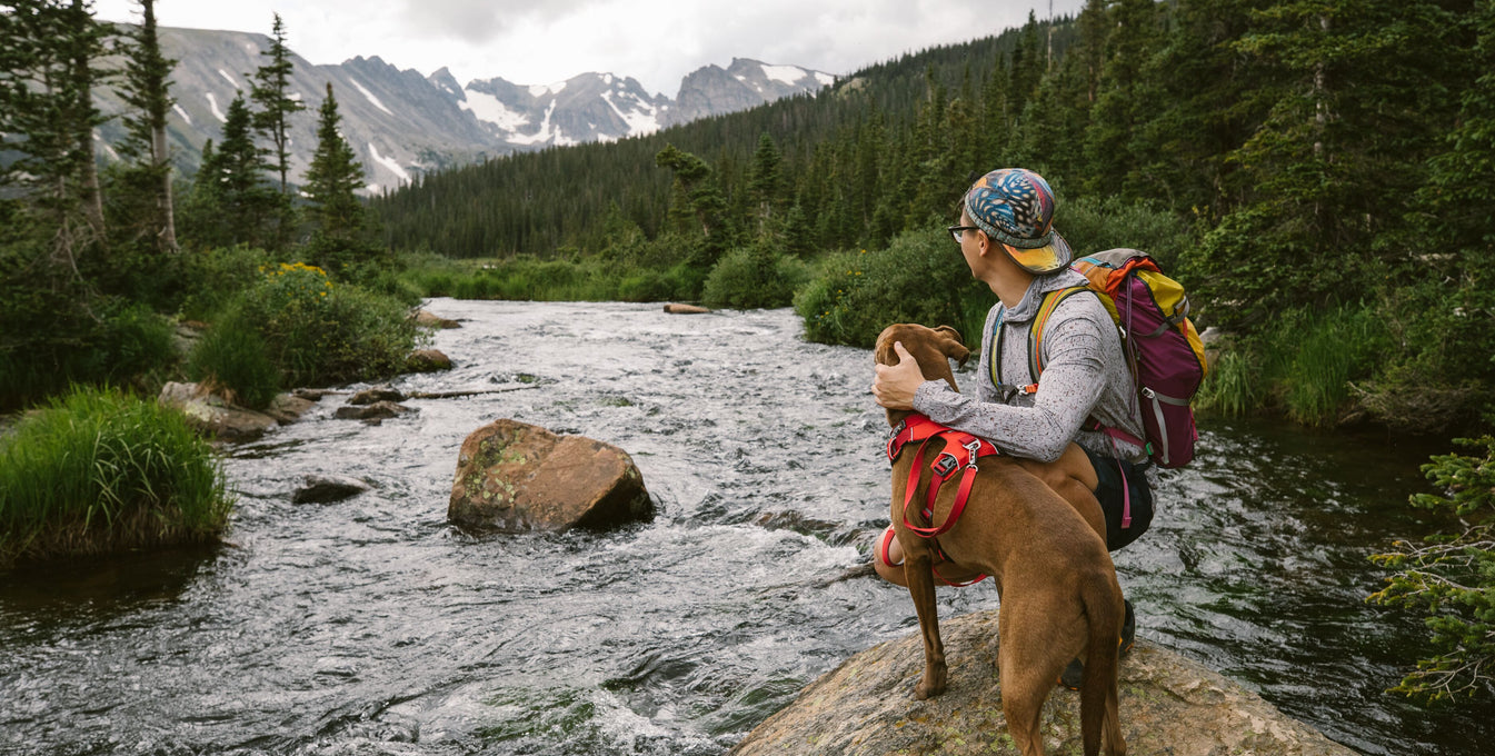 Turkey in front range dog harness, leash and collar set walks in front of Nathan by a waterfall.