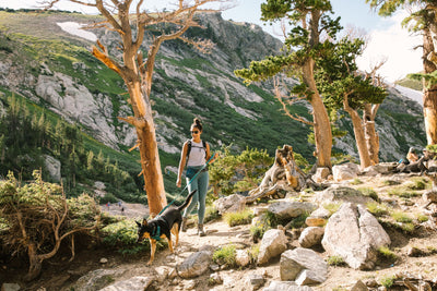 A woman hikes with her dog in the mountains. 