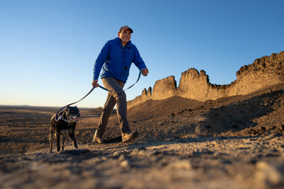 Vernan Kee walks with one of his adopted dogs in the Navajo Nation. 