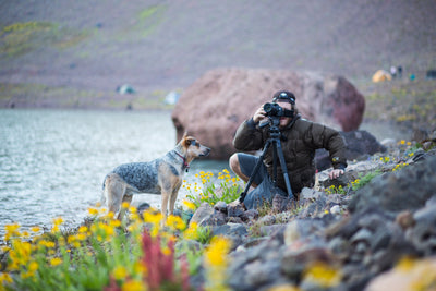 Man taking a picture of a dog among wildflowers by a lake