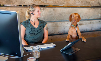 A woman and her dog sit at a desk in the Ruffwear building. 
