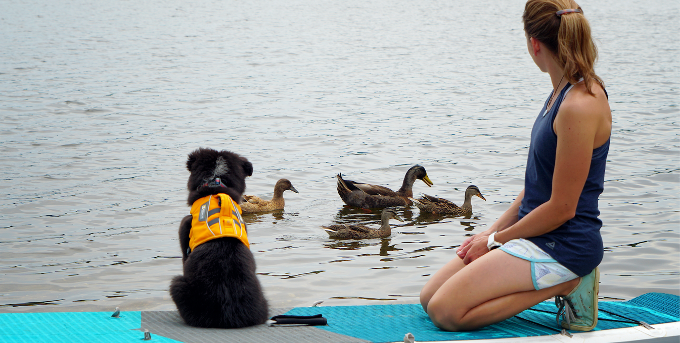 Maria and puppy Willow in float coat sit on paddleboard looking at ducks.
