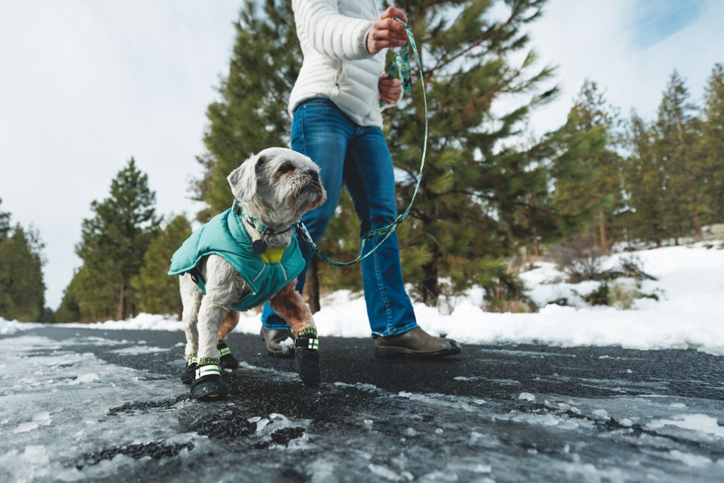 Ruffwear gear 2025