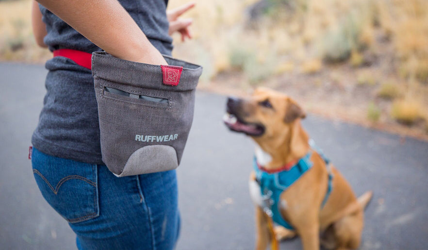 Ruffwear dog 2024 treat pouch