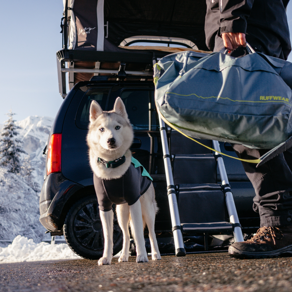 Impact Protect Our Winters Ruffwear