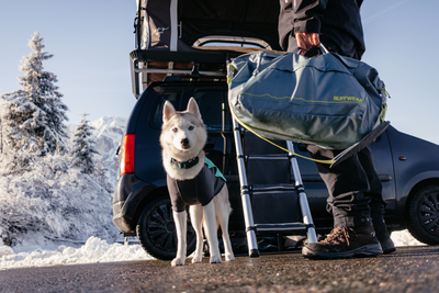 A man stands with their dog by a rooftop tent.