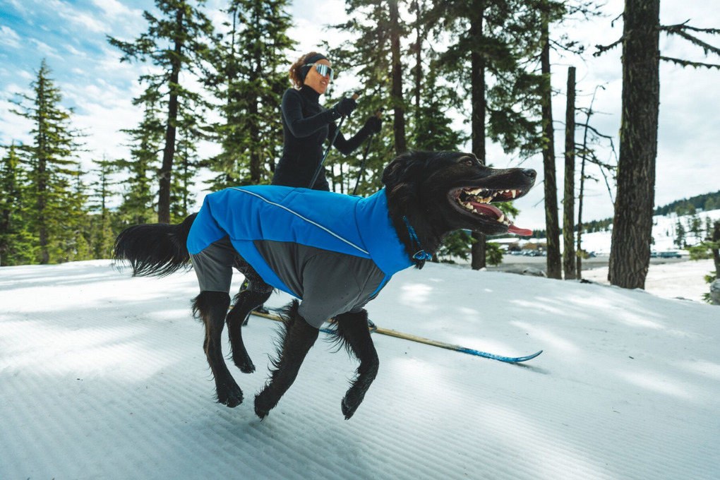 Woman skiing with her dog.