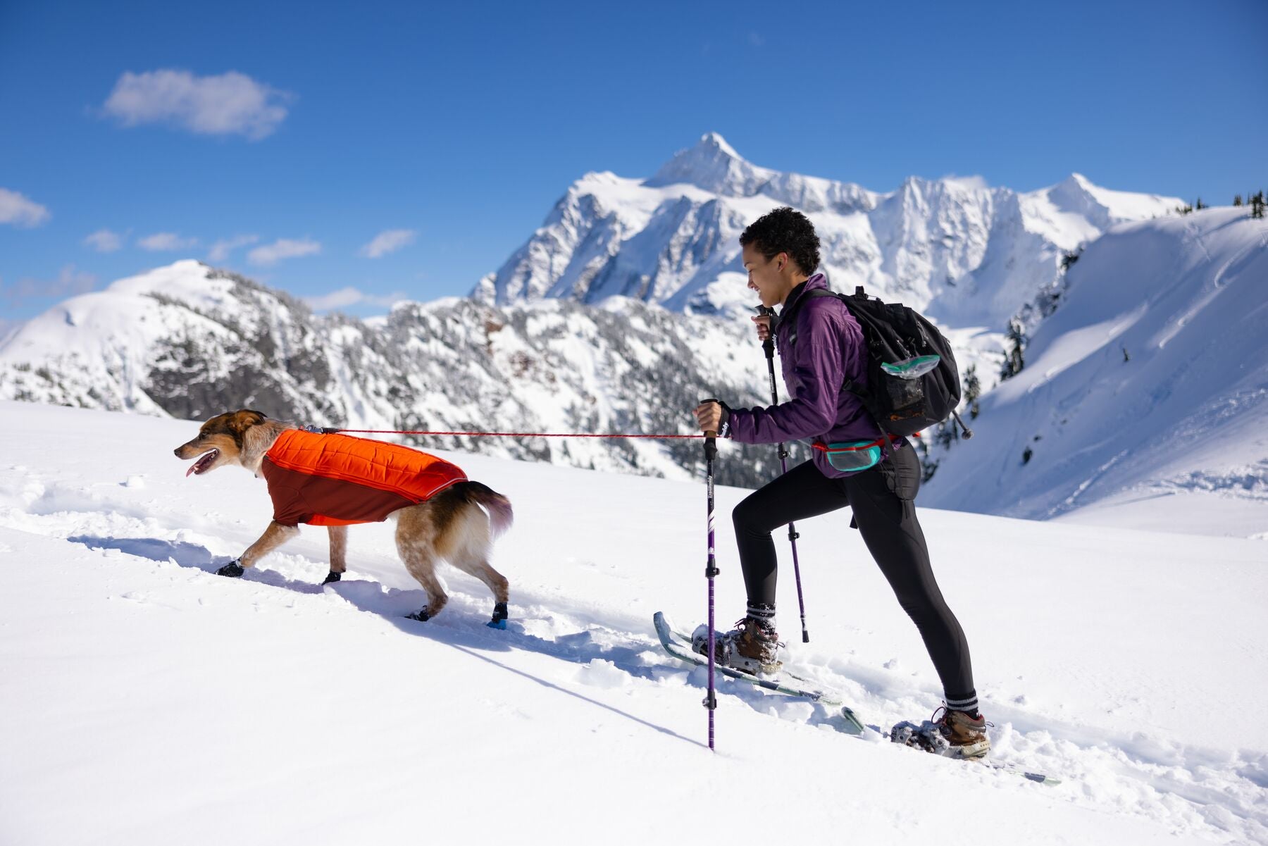 Stories Explored A Ruffwear Blog Ruffwear