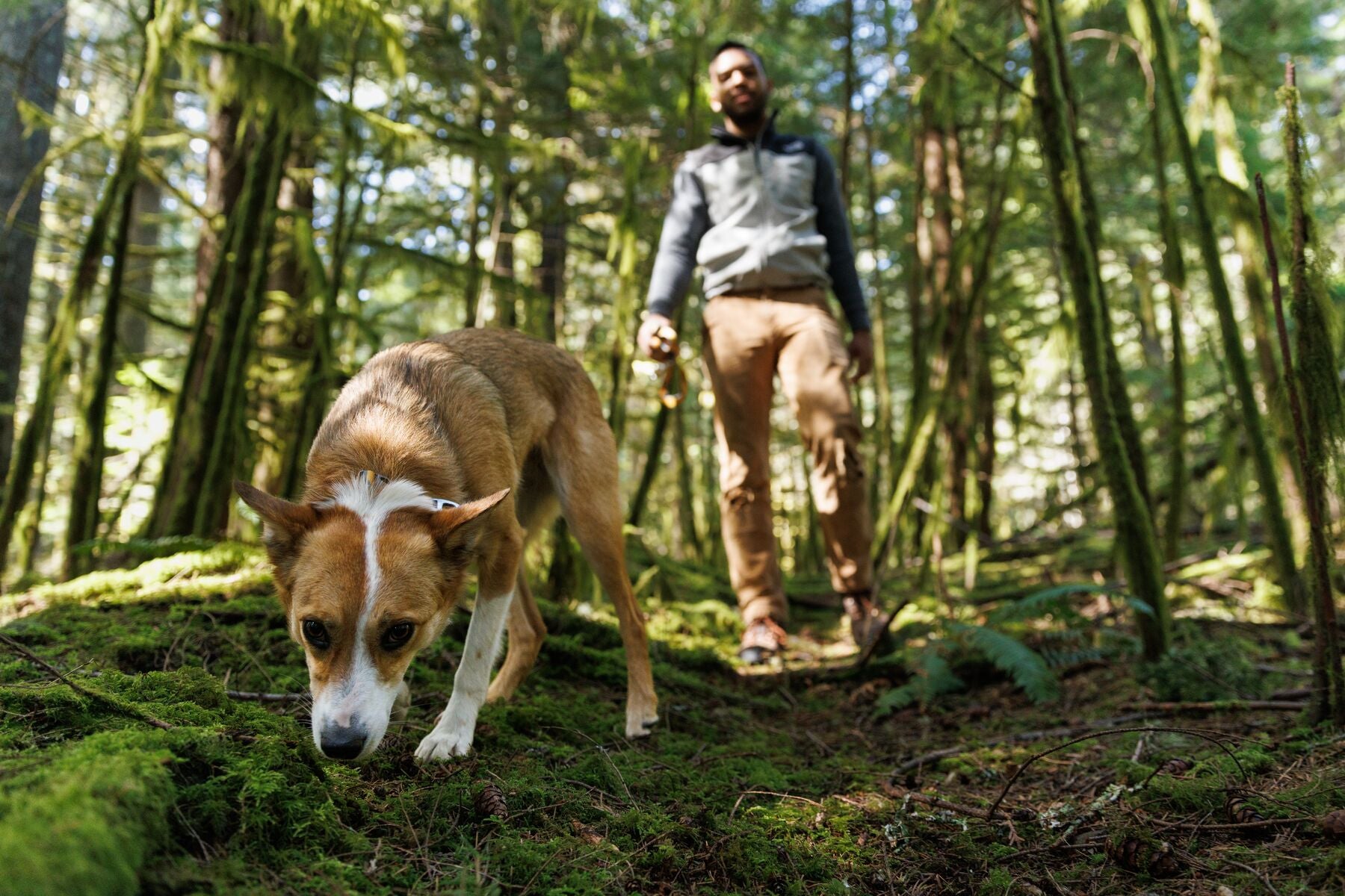 Stories Explored A Ruffwear Blog Ruffwear