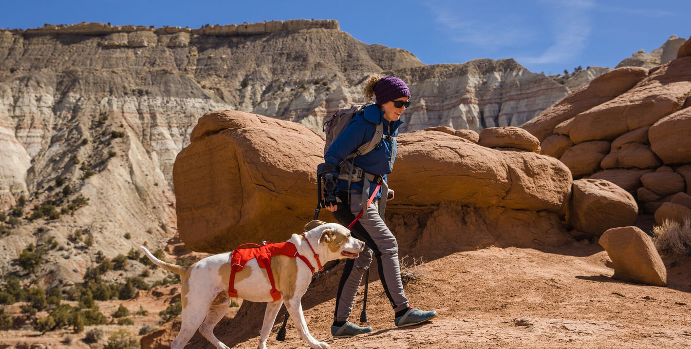 Stories | Explored: A Ruffwear Blog | Ruffwear