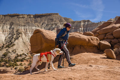 Woman hiking with her dog.
