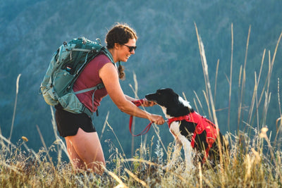 A dog and their human get ready to hike with the new Web Master™ Harness.