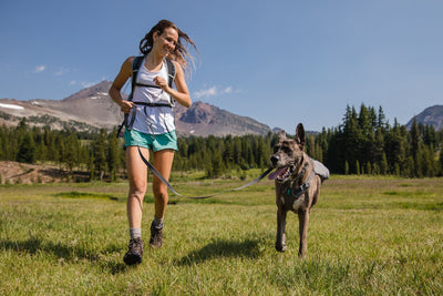 A woman runs on the grass near mountains with her dog. 