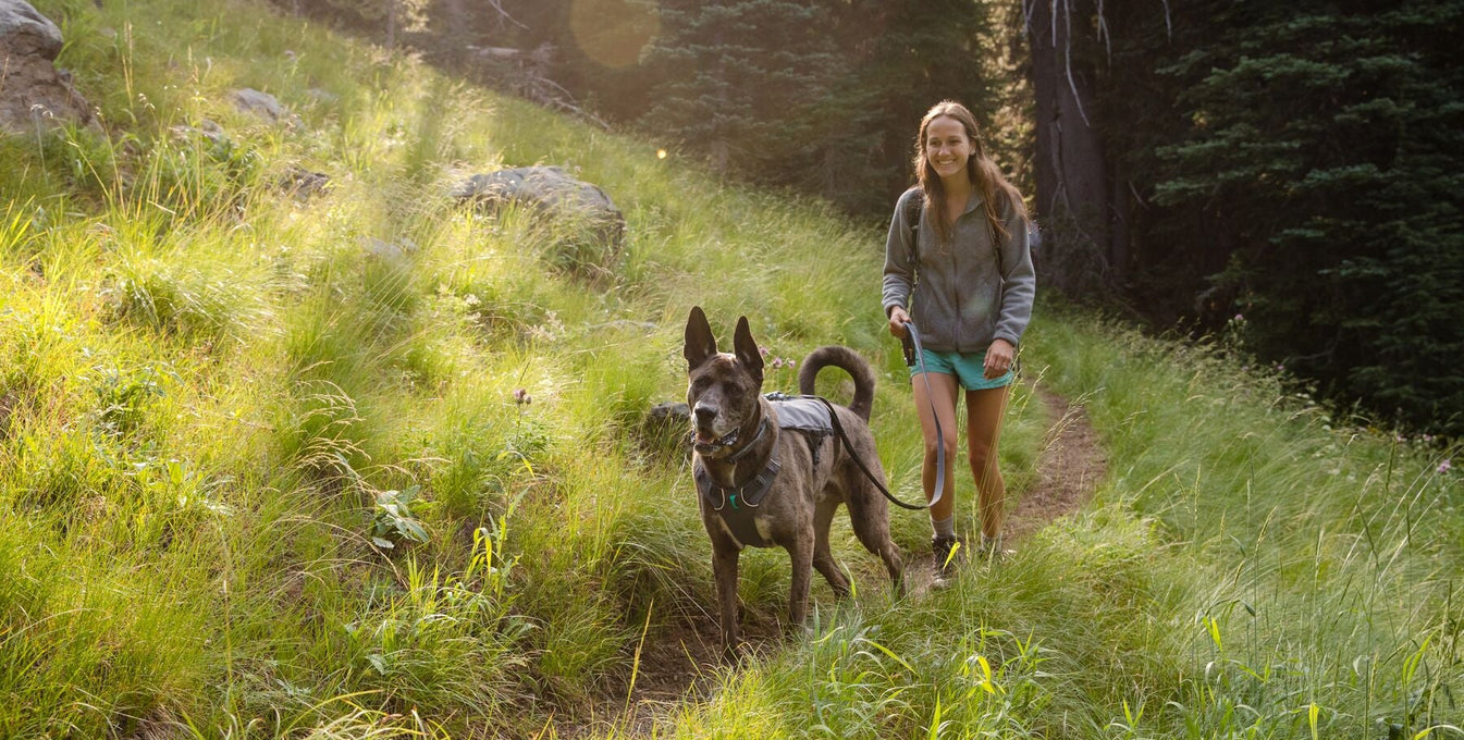 A woman walks with her dog in a meadow.