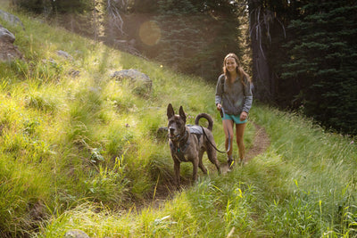 Woman hiking with her dog on a trail through a grassy hillside