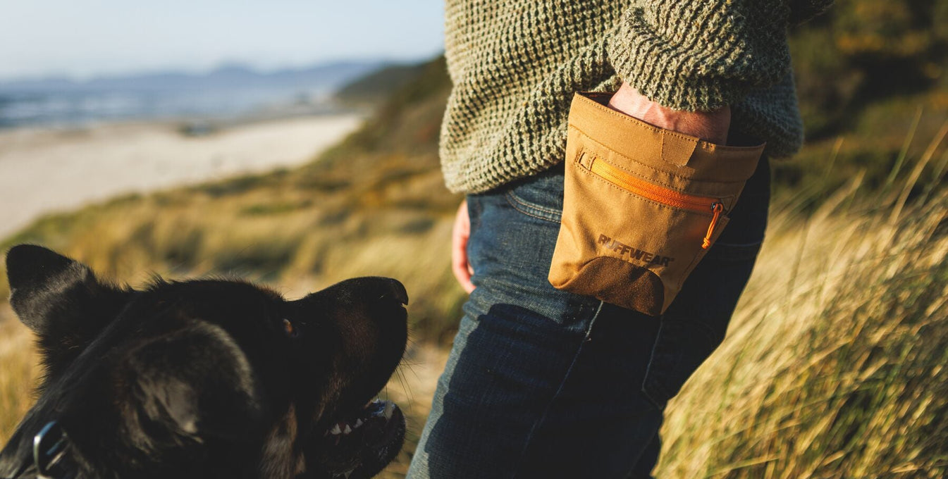 A human gives their dog a treat from the Treat Trader