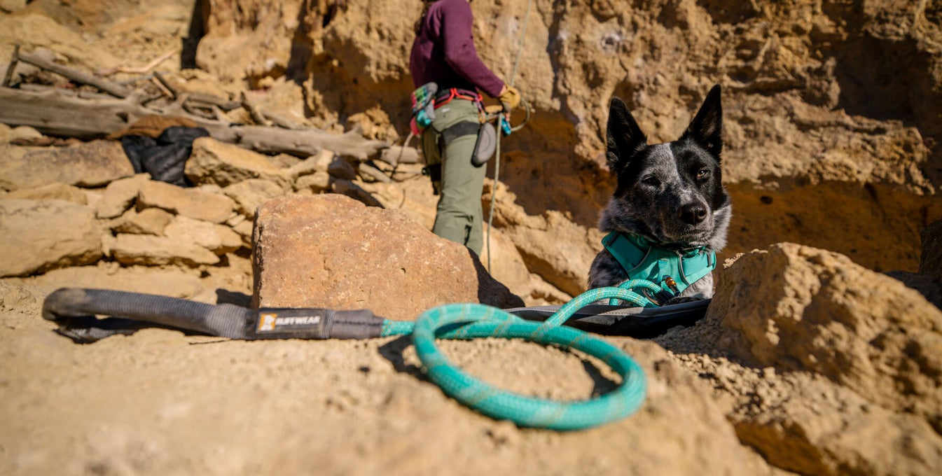 Stories | Explored: A Ruffwear Blog | Ruffwear