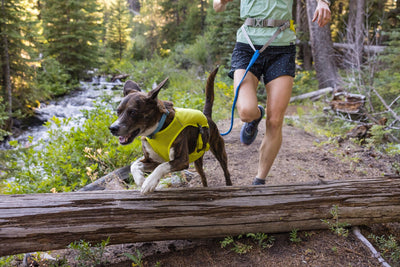 dog wearing a hydration vest trail running with human and jumping over a log