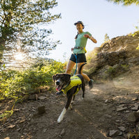 A happy dog runs on the trail with their human.