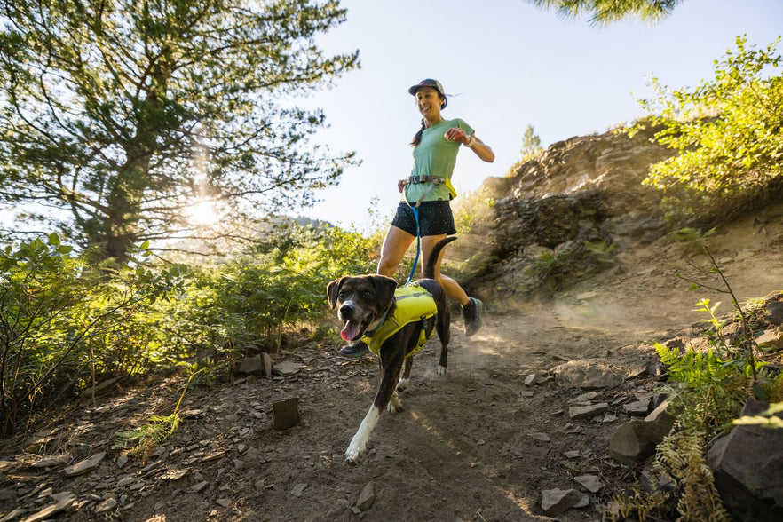Javascript Icon Pink Blue Dog-Friendly Races to Check Out in 2026 | Ruffwear