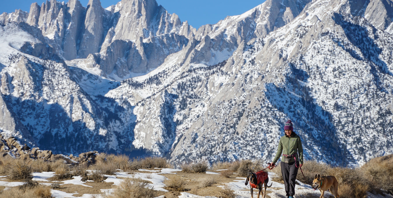 A woman and her two dogs walk in the mountains. 