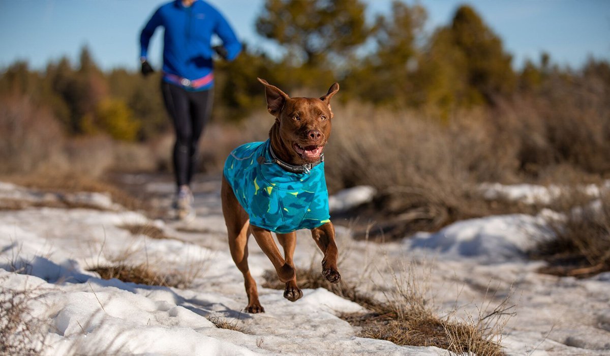 Stories Explored A Ruffwear Blog Ruffwear