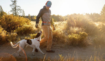 Timothy and dog jake hike along trail at sunset.