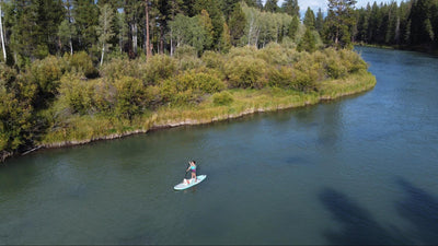 A woman paddleboards with her dog on a river. 