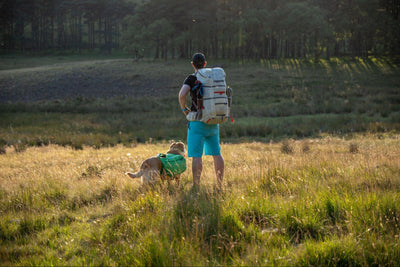 A man stands in a field with his dog while backpacking. 