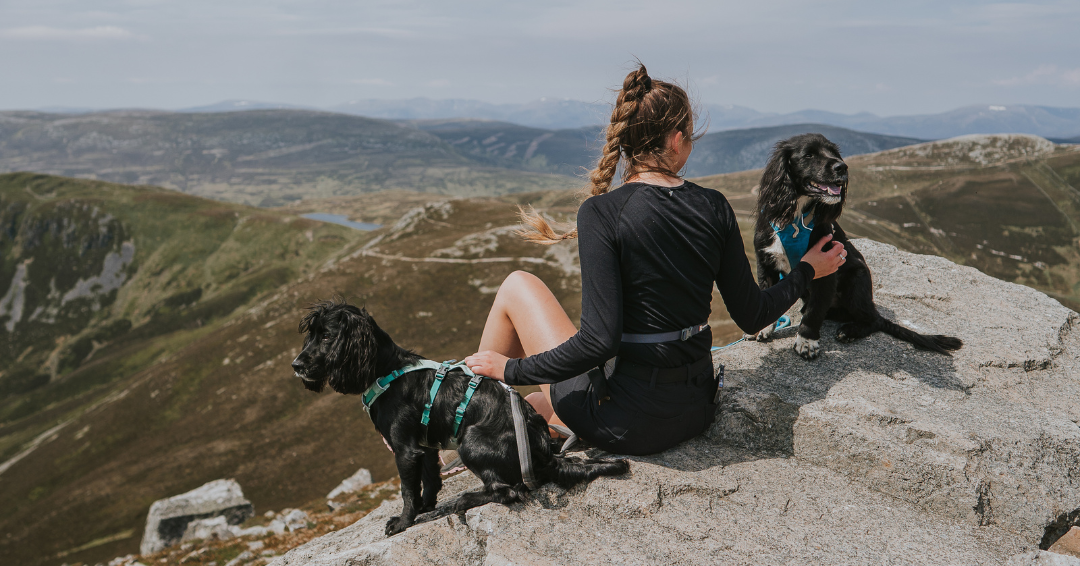 Stories Explored A Ruffwear Blog Ruffwear