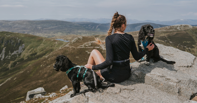 Woman with two dogs sitting on top of a rock outcropping