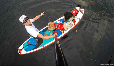 Overhead shot of Maria and her two dogs paddleboarding