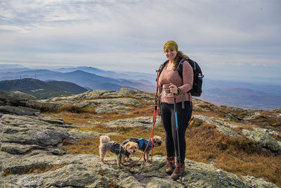 Solo Hiking Mount Mansfield With Dobby and Max