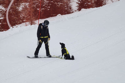 Omar and Baku look at each other while snowboarding.