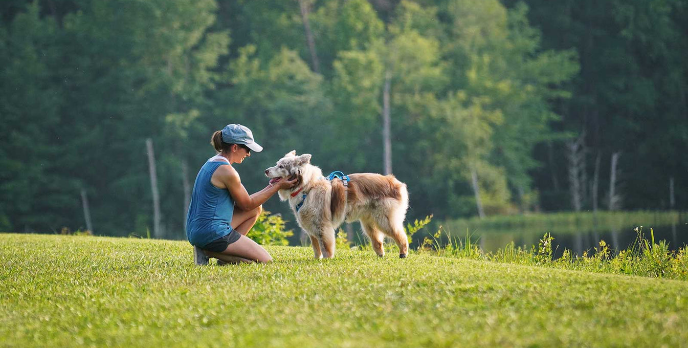 Woman bends over to pet her senior dog in the grass by a pond.