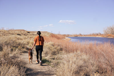 Woman and dog walking away on a trail in a dry landscape with a lake.