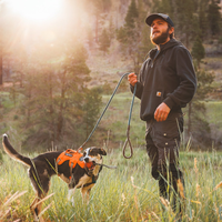 Working Dog Gear