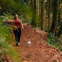 Women with terrier in Hi & Light harness walking in woods at Shevlin Park.