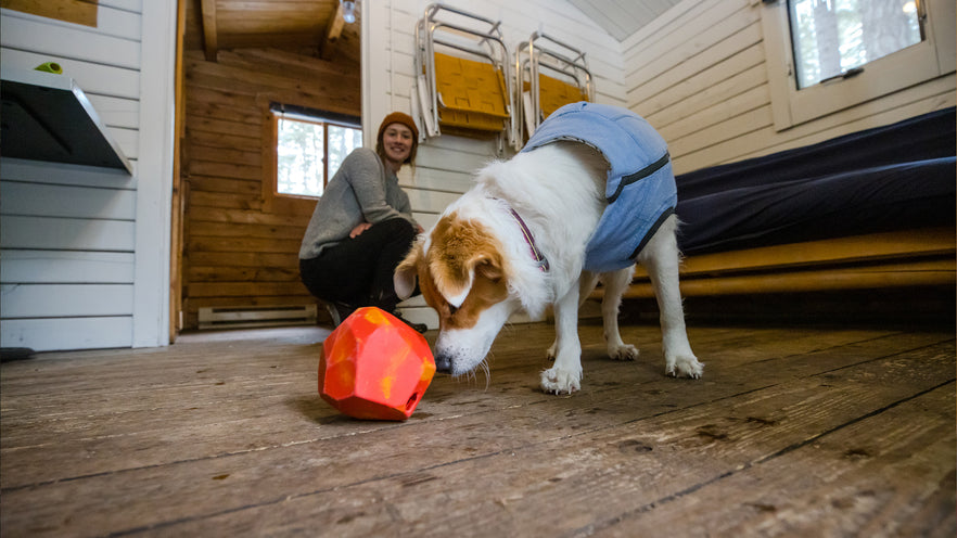 Huckama™ Rubber Dog Throw Toy