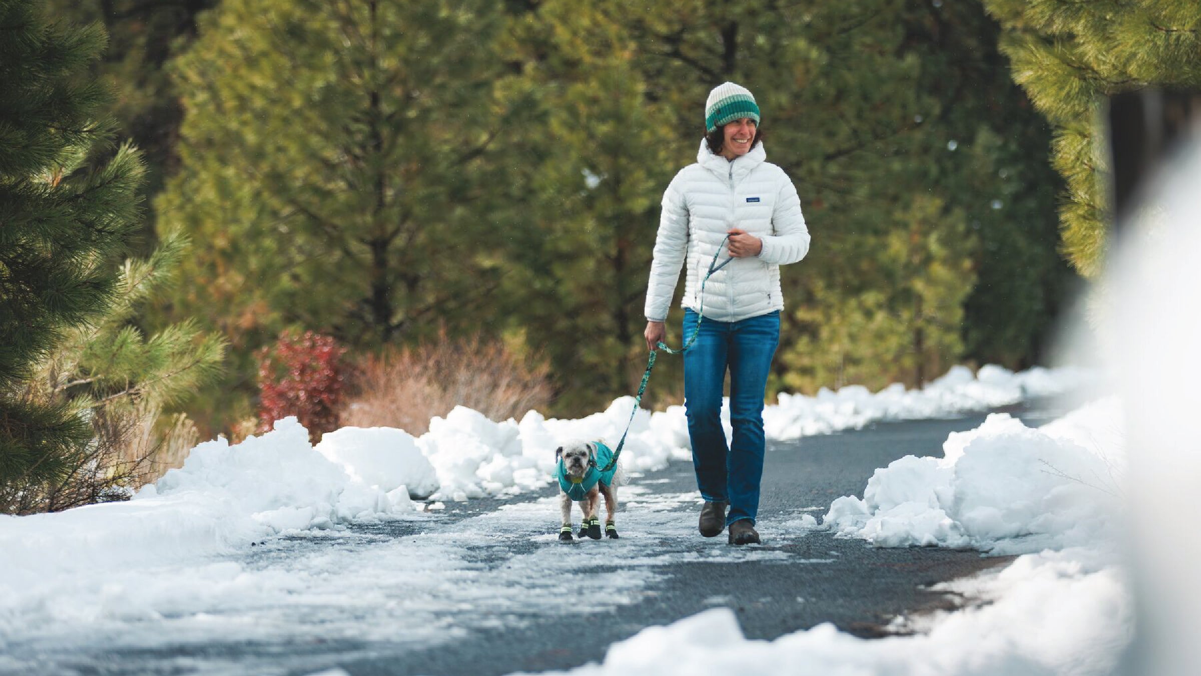 Performance Dog Gear Ruffwear