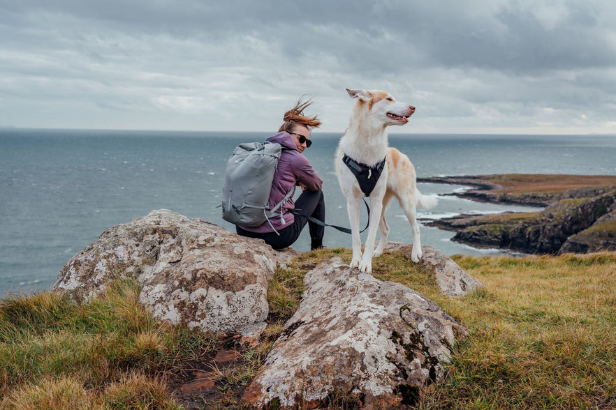 Ruffwear Best Sellers | Ruffwear