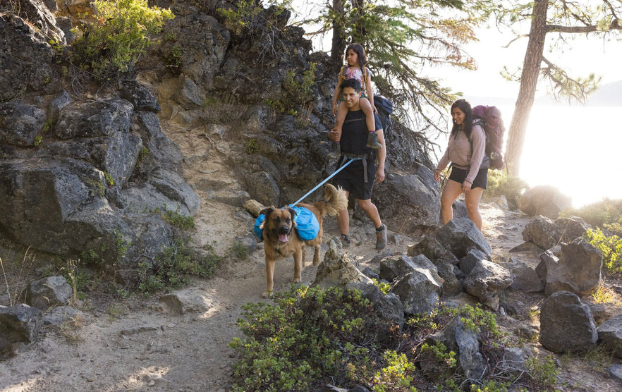 Approach™ Pack Collection | Ruffwear