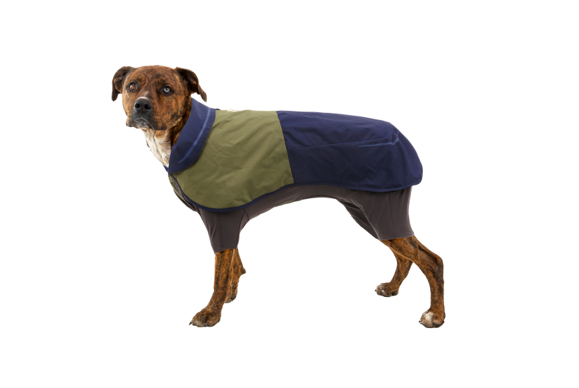 dog bag rain or shine tent Sun Shower™ Coverall Dog Rain Suit