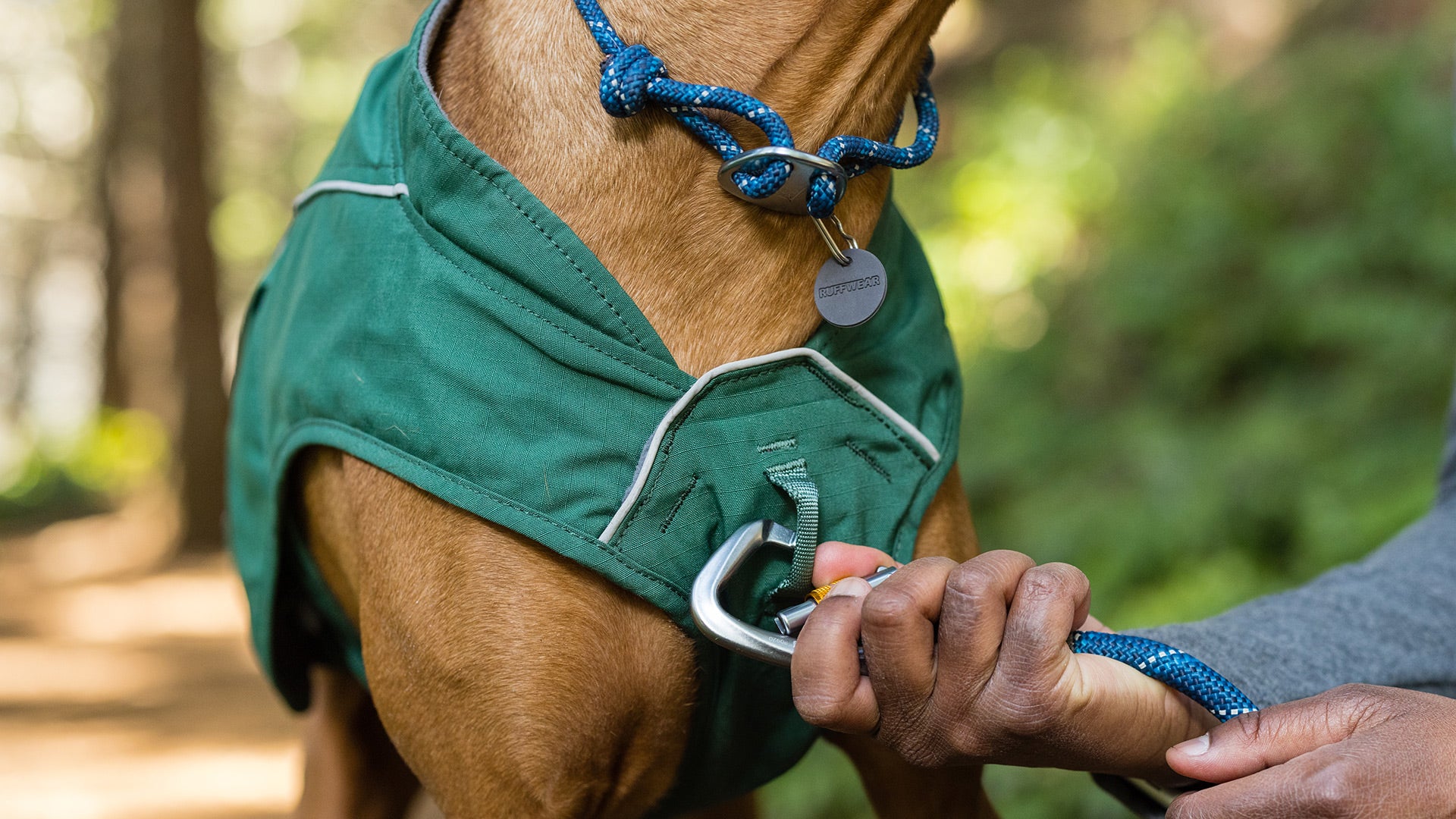 Dog jacket with built in outlet harness