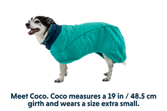 Used - Dirtbag™ Dog